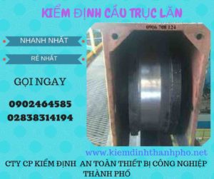 Hình ảnh kiểm định Cầu trục lăn