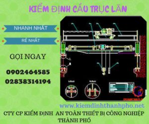 Hình ảnh kiểm định Cầu trục lăn