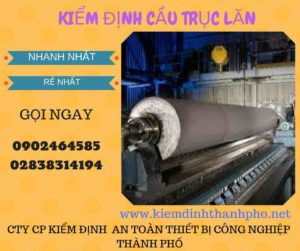 Hình ảnh kiểm định Cầu trục lăn