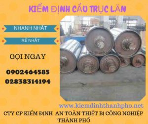 Hình ảnh kiểm định Cầu trục lăn