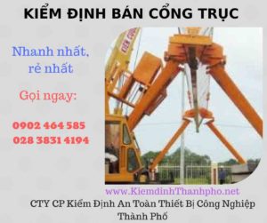 Hình ảnh kiểm định Bán Cổng trục