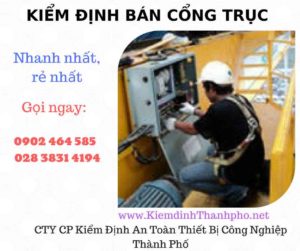 Hình ảnh kiểm định Bán Cổng trục