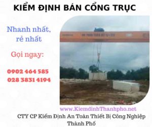 Hình ảnh kiểm định Bán Cổng trục