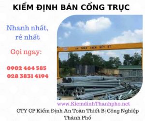 Hình ảnh kiểm định Bán Cổng trục