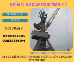 Hình ảnh kiểm định cần trục đế