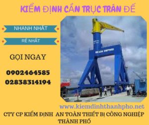 Hình ảnh kiểm định cần trục đế