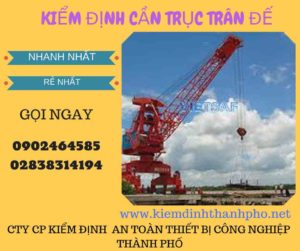 Hình ảnh kiểm định cần trục đế