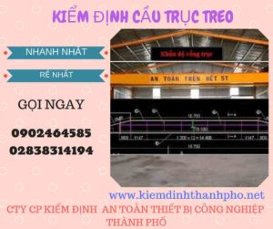 Hình ảnh kiểm định Cầu trục treo