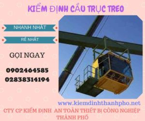 Hình ảnh kiểm định Cầu trục treo