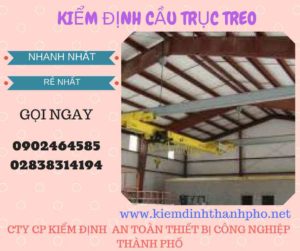 Hình ảnh kiểm định Cầu trục treo