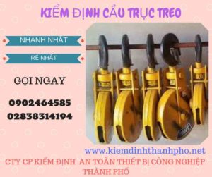 Hình ảnh kiểm định Cầu trục treo