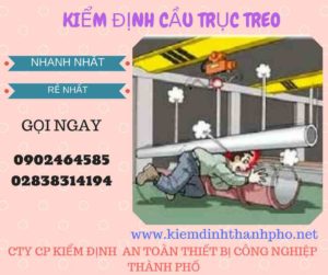 Hình ảnh kiểm định Cầu trục treo