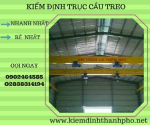 Hình ảnh kiểm định Cầu trục treo