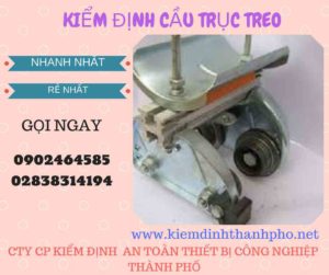 Hình ảnh kiểm định Cầu trục treo