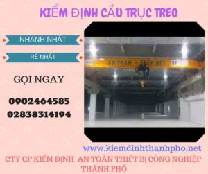 Hình ảnh kiểm định Cầu trục treo