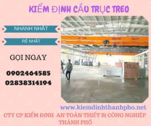 Hình ảnh kiểm định Cầu trục treo