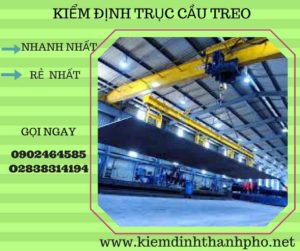 Hình ảnh kiểm định Cầu trục treo