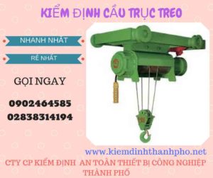 Hình ảnh kiểm định Cầu trục treo