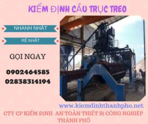 Hình ảnh kiểm định Cầu trục treo