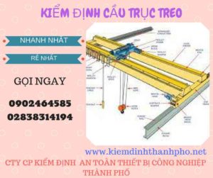 Hình ảnh kiểm định Cầu trục treo