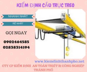 Hình ảnh kiểm định Cầu trục treo