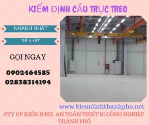 Hình ảnh kiểm định Cầu trục treo