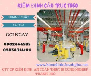 Hình ảnh kiểm định Cầu trục treo