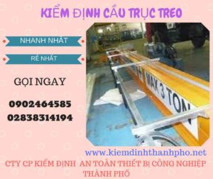 Hình ảnh kiểm định Cầu trục treo