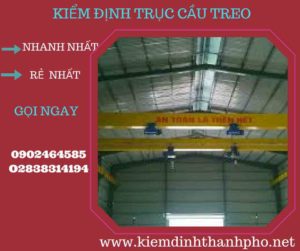 Hình ảnh kiểm định Cầu trục treo