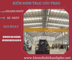 Hình ảnh kiểm định Cầu trục treo