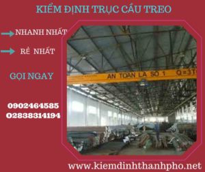 Hình ảnh kiểm định Cầu trục treo