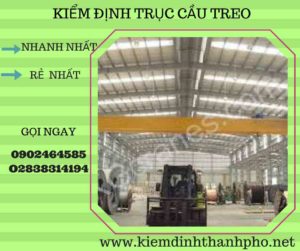 Hình ảnh kiểm định Cầu trục treo