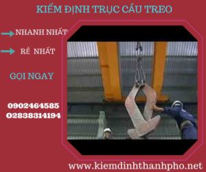 Hình ảnh kiểm định Cầu trục treo