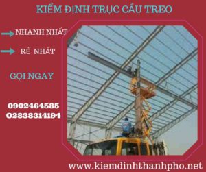 Hình ảnh kiểm định Cầu trục treo