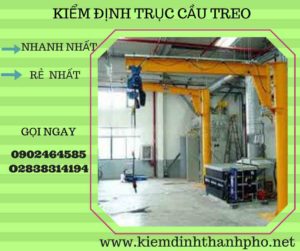 Hình ảnh kiểm định Cầu trục treo