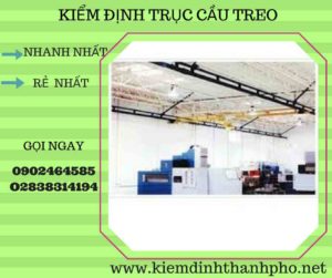 Hình ảnh kiểm định Cầu trục treo