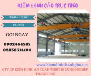 Hình ảnh kiểm định Cầu trục treo