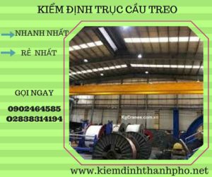 Hình ảnh kiểm định Cầu trục treo