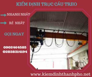 Hình ảnh kiểm định Cầu trục treo