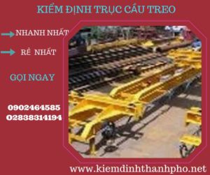 Hình ảnh kiểm định Cầu trục treo