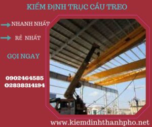 Hình ảnh kiểm định Cầu trục treo