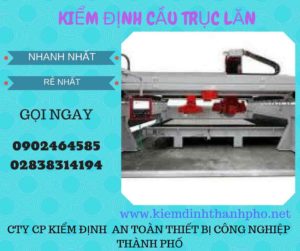 Hình ảnh kiểm định Cầu trục lăn