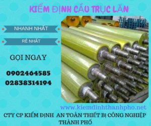 Hình ảnh kiểm định Cầu trục lăn