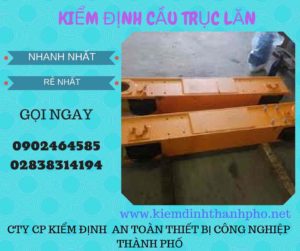 Hình ảnh kiểm định Cầu trục lăn