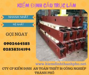 Hình ảnh kiểm định Cầu trục lăn