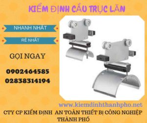 Hình ảnh kiểm định Cầu trục lăn