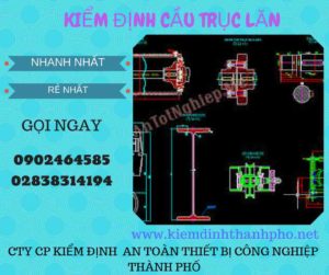 Hình ảnh kiểm định Cầu trục lăn