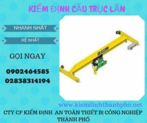 Hình ảnh kiểm định Cầu trục lăn