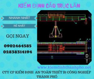 Hình ảnh kiểm định Cầu trục lăn