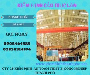 Hình ảnh kiểm định Cầu trục lăn